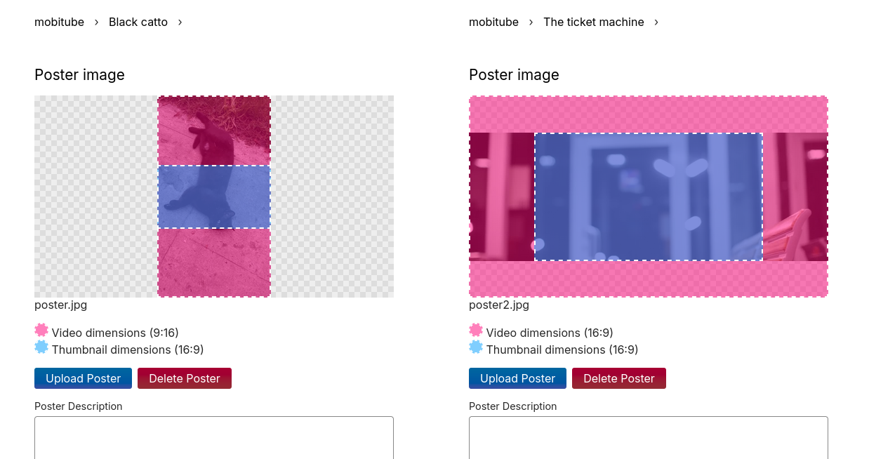 Poster image form in the Hyper 8 editor: Different colored rectangles
(pink, blue, image) are overlaid to visualize their differing aspect ratios
and how they are cropped against each other. Additionally there are textual
descriptions like "Video dimensions (9:16)" and "Thumbnail dimensions(16:9)"