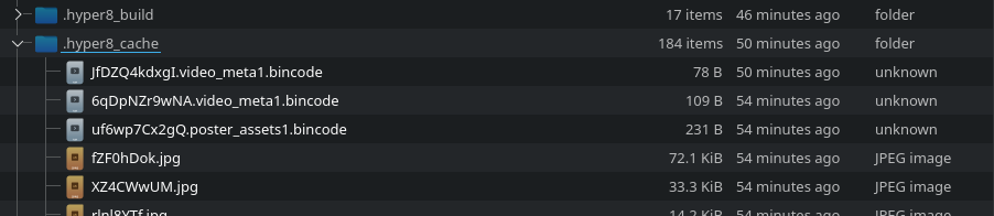 A glimpse into Hyper 8's .hyper8_cache folder, revealing a flat file listing with names such as:
JfDZQ4kdxgI.video_meta1.bincode, 6qDpNZr9wNA.video_meta1.bincode, uf6wp7Cx2gQ.poster_assets1.bincode,
fZF0hDok.jpg, and so on.