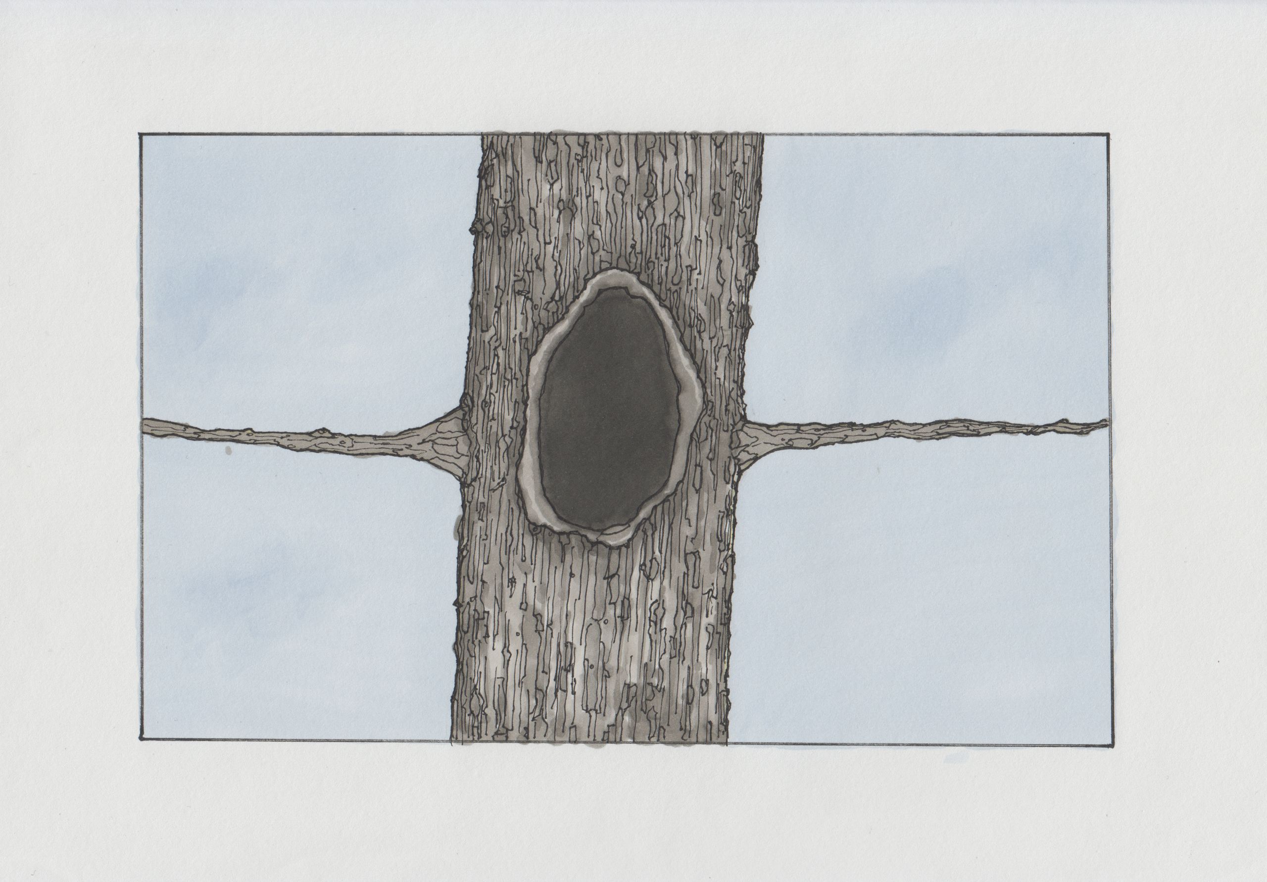 Ink/marker sketch in pale blue and warm grey tones of a tree that seems to hug the viewer, in a very weird way