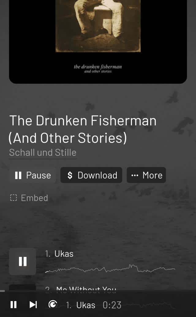 Release page on music.schallundstille.de